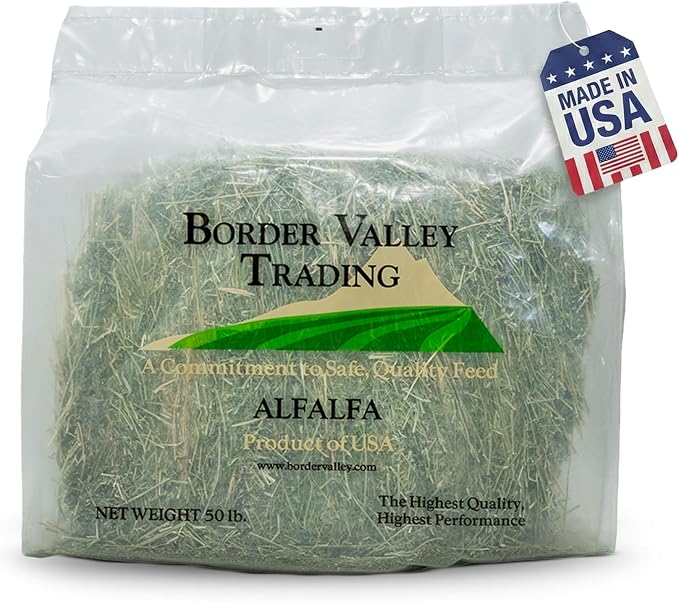 Border Valley Alfalfa Hay Bale in Bag, 40 lb - High Fiber Hay for Rabbits, Guinea Pigs, Chinchillas, Tortoises, Horses and Livestock - Protein-Rich Plant-Based Nutrition, Farm-to-Home Freshness