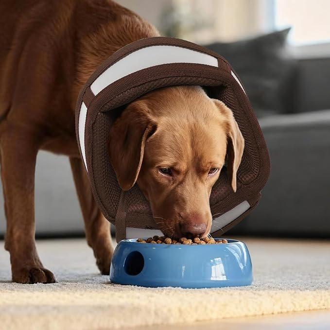 Dog Recovery Collars & Cones, Medium Dog Collar, Brown, L | Adjustable Dog Soft Cone, Stop Licking Wounds After Surgery & Skin Disease, Lightweight, Comfortable Elizabethan Collar