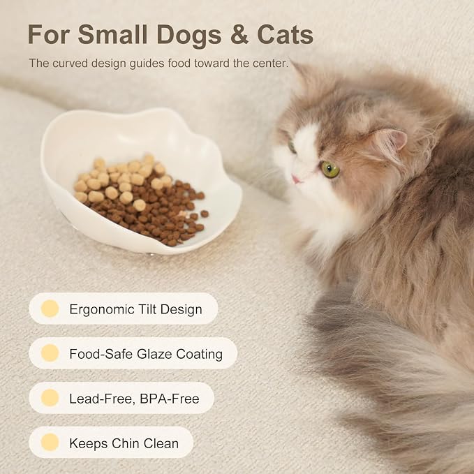 Shell Ceramic Dog Bowls & Cat Food Bowl, Whisker-Friendly Feeding Dish for Small Dogs & Cats, Non-Slip Food Grade Pet Bowl with Stainless Steel Base, Aesthetic Design