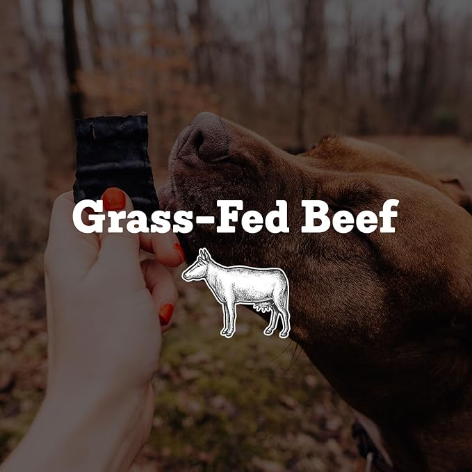 Farm Hounds - Beef Trainers - Premium Natural Beef Jerky for Dogs - Made from 100% Humanely Raised Cattle - Easy-Break - Great for Training & Treats - No Added Fillers - Made in USA - 4.5 oz - 2 Pack