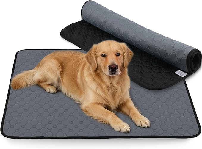 Washable Pee Pads for Dogs 2 Pack Reusable Puppy Pads Super Absorbent Waterproof Non Slip Dog Potty Training Pad 36x55 Inch for Large Dogs Crate Playpen Floor Protection