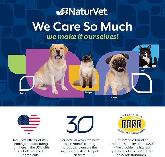 NaturVet Advanced Probiotics & Enzymes, PB6 Dog Soft Chews to Help Sensitive Stomachs and Digestive Issues, Hickory Smoked Bacon Flavored Pet Supplement for Dogs Over 6 Weeks, 240 Count Jar