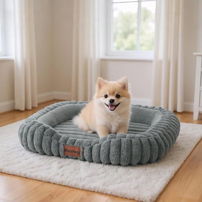 Orthopedic Dog Bed, Memory Foam Bolster Bed for Small Dogs | 25L x 21W x 4H, Bolster Sides Design, Washable Cover, Orthopedic Support Structure, Non-Slip Bottom, Small Dogs, Grey
