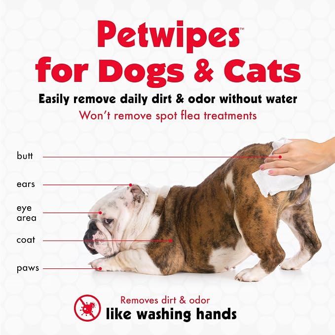 Petkin Pet Wipes for Dogs and Cats, 200 Large Wipes - Removes Dirt & Odor Like Washing Hands - Cleans Ears, Face, Butt, Eyes Area - Convenient, Ideal for Home or Travel - 2 Packs of 100 Wipes