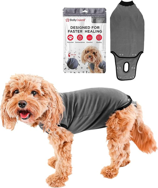 BellyGuard Dog Surgery Recovery Suit, Post-Op Dog Recovery Suit for Female Spay & Male Neuter, Comfy Onesie for Pets, Surgical Body Cover for Canine Healing Support