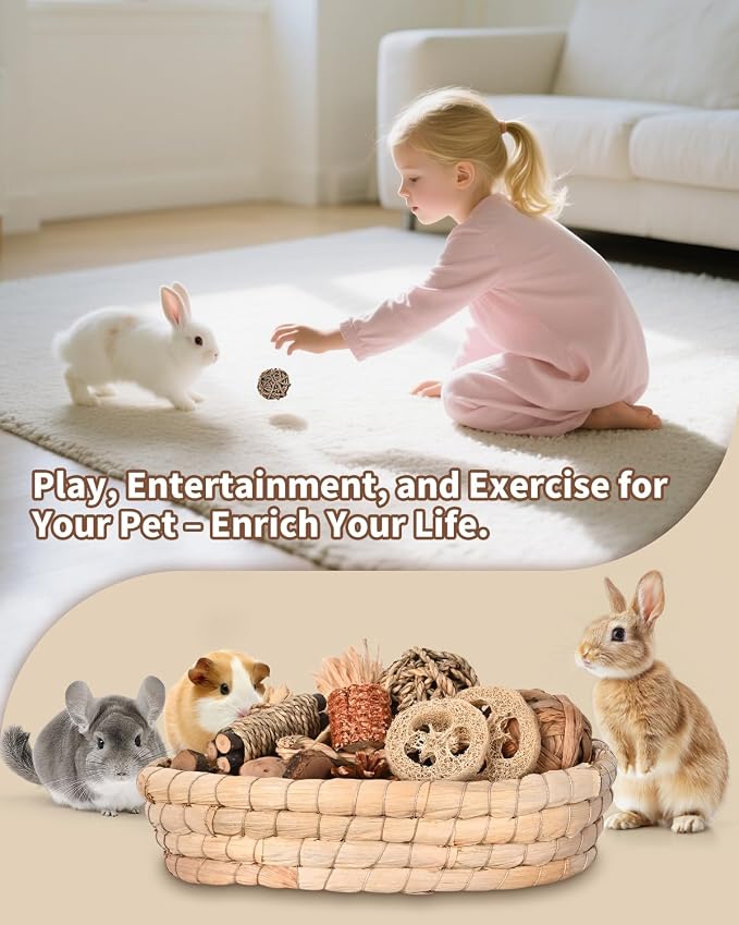 31PCS Rabbit Chew Treat Toys for Teeth Health, Natural Bunny Enrichment Toys for Boredom & Stress Relief, Keep Busy Toys for Guinea Pig Chinchilla Hamster Rat Gerbil Degu Indoor Outdoor