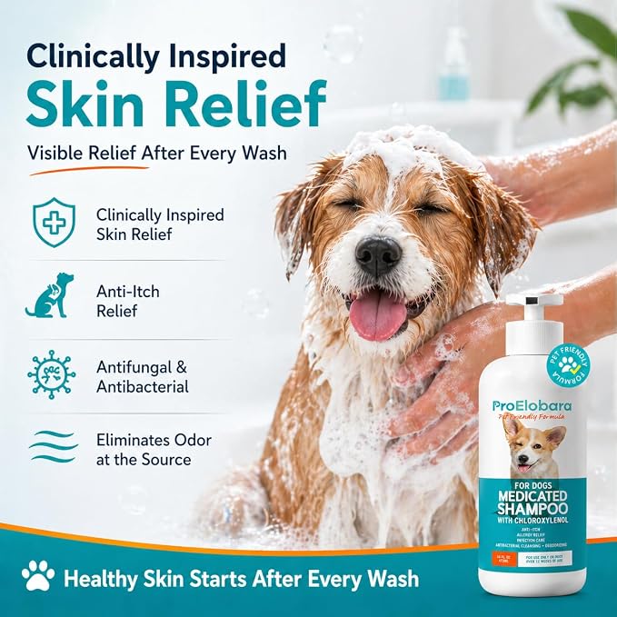 Medicated Dog Shampoo for Allergies and Itching: Antifungal Dog Shampoo, Yeast Infection and Bacterial Treatment for Dogs - Helps Hot Spots, Deodorizing and Anti Itch - Healthy Skin & Coat 16 OZ
