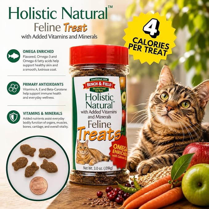 Bench & Field Holistic Natural Healthy Kitty Cat Treats | Crunchy Fish-Shaped Bites | Delicious Seafood Flavored Snack, 3-Ounce (Pack of 2 Bottles)