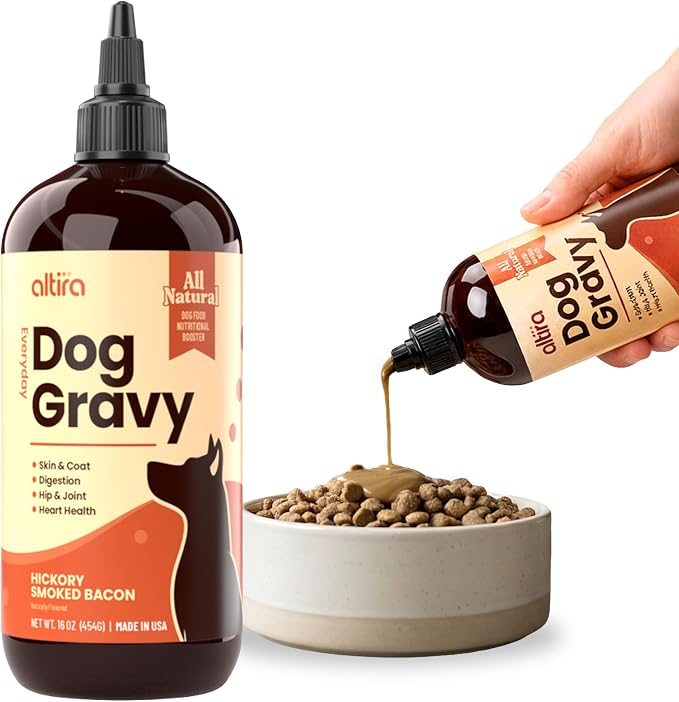 Everyday Dog Gravy - Hickory Bacon | Wet Dog Food Topper for Dry and Wet Food with Glucosamine, MSM, Bone Broth, Omega 3, Probiotics & Taurine | Picky Eaters, Hip & Joint Support | 16 oz
