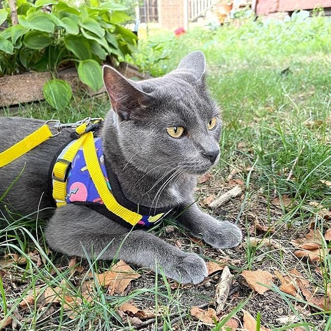 Travel Cat x Argylle Replica Backpack Carrier and Travel Cat & Stray Cat Harness and Leash Set