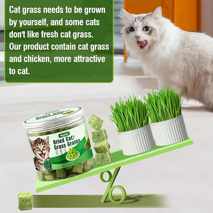 50g Cat Grass Teething Treat, Delicious Cat Grass Teething Snack Edible Cats Chew Toy for Teeth Cleaning and Hairball Removal