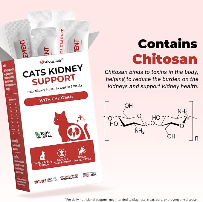 Cat Kidney Support Chitosan & L-Lysine – Boosts Kidney Health & Function, Promotes Toxin Removal, Restores Kidney Function, Enhances Vitality – Natural Ingredients for Cats – 30 Tubes