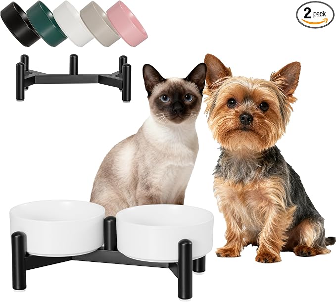 Raised Ceramic Dog Bowl Set - Elevated Double Dishes with Stainless Steel Stand - Food and Water Bowls for Small Dogs and Indoor Cats - Each Holds 1.6 Cups (10.8 fl oz) - White
