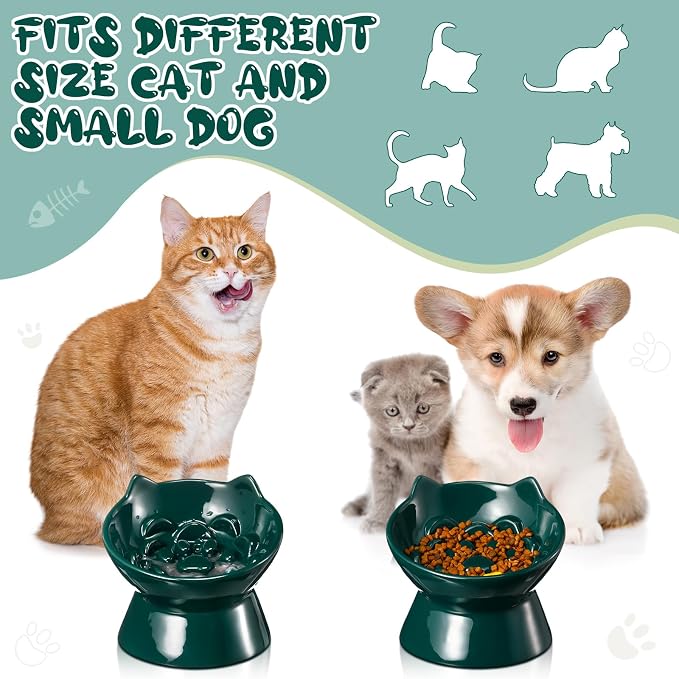 Funnymoom 2 Pcs Ceramic Raised Slow Feeder Cat Bowl, 5.91inch Elevated Cat Slow Feeder Bowl Tilted Anti Vomiting for Dry Wet Food and Water Easy to Clean High Edge(Dark Green)