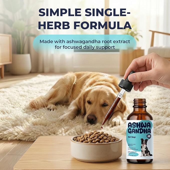Ashwagandha for Dogs Liquid Drops, Dog Calming Support Supplement, Helps Maintain Calm Behavior, Emotional Balance & Relaxed Daily Routine, Easy to Add to Food or Water, 2 fl oz