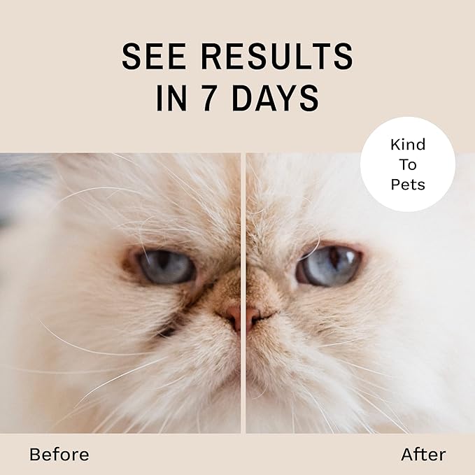 Eye Envy Tear Stain Remover Powder for Dogs and Cats. Natural, Safe Formula. Apply Around Eyes. Absorbs and Cleans Tears and Staining. Keeps Area Dry. Made in The USA. (2.5 oz)