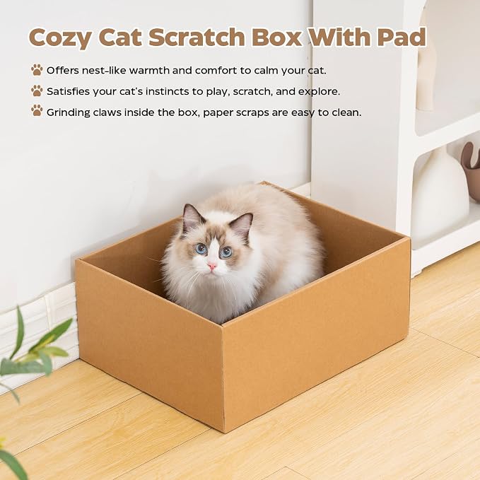Avont 3-Piece Cardboard Cat Scratcher Set Bundle with Cat House, Foldable Cave Hideaway Bed for Indoor Cats