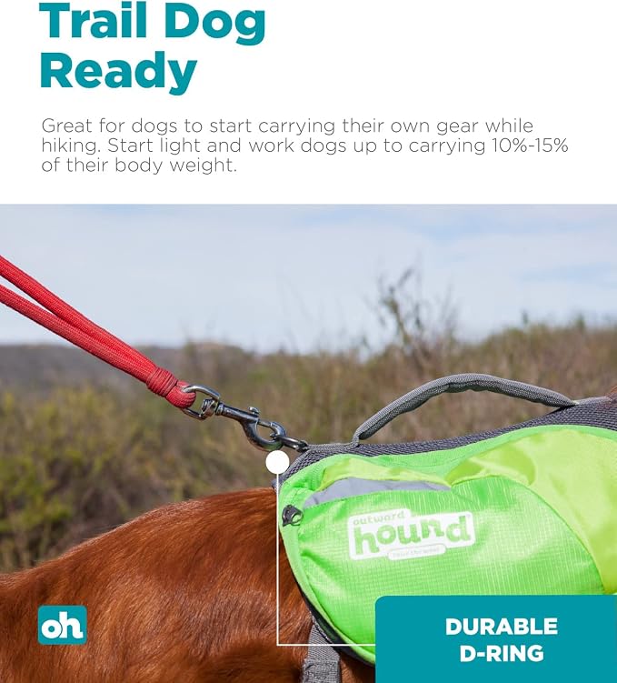 Outward Hound DayPak Green Dog Saddleback Backpack, Large