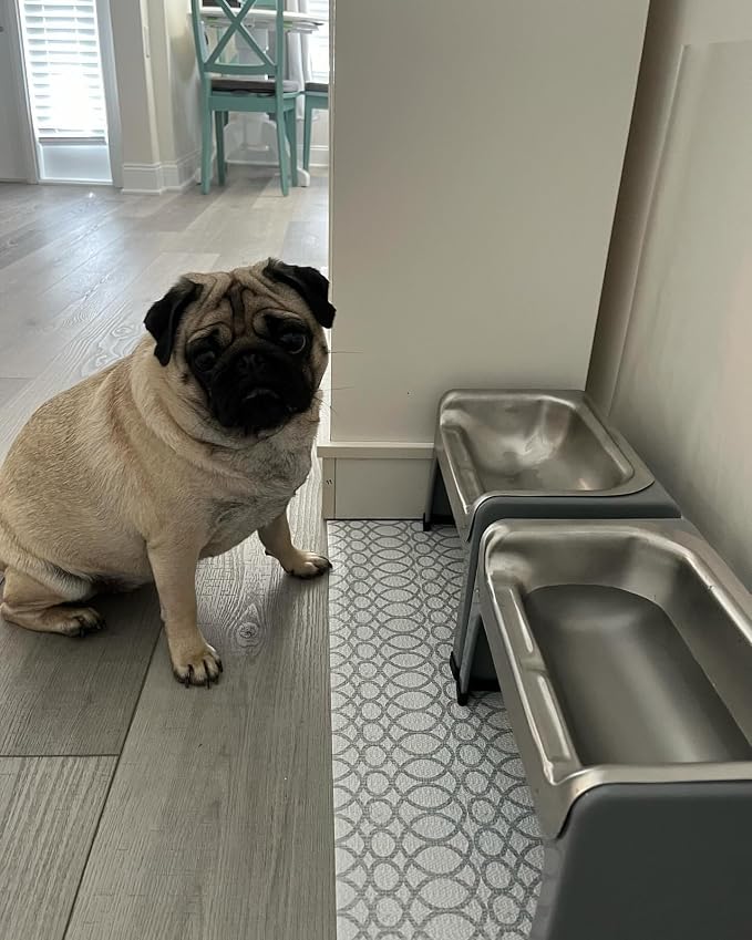 Fluff Trough 7.25 Inch Tall Elevated Dog Bowls for Medium & Small Dogs – Stainless Steel Raised Dog Bowl with Stand Holds 2 Cups of Pet Food – Vet Recommended, Dishwasher Safe Dog Feeder Station