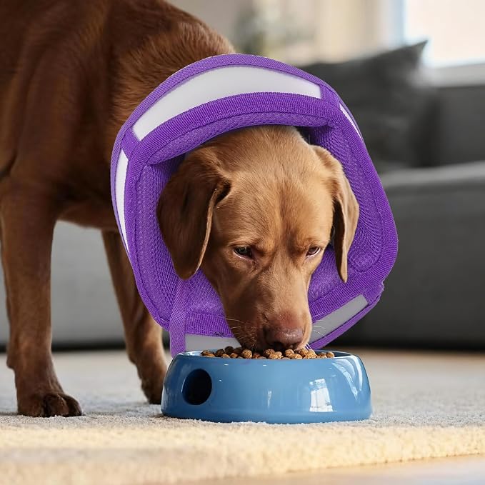 Dog Cone Collar After Surgery to Stop Licking | Adjustable Elizabethan Collar for Neutering, Lightweight Breathable Recovery Neck Cone to Prevent Biting Wounds & Hot Spots (Purple, L)