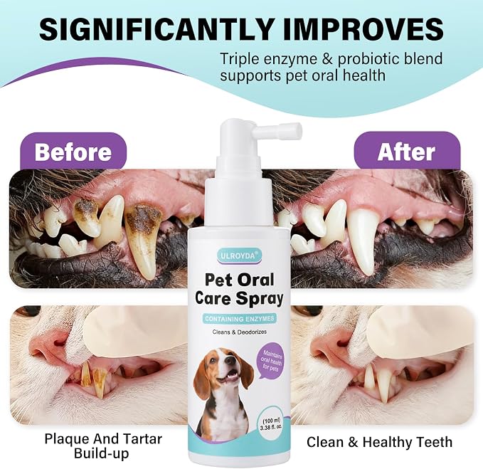 Dog & Cat Dental Care Bundle