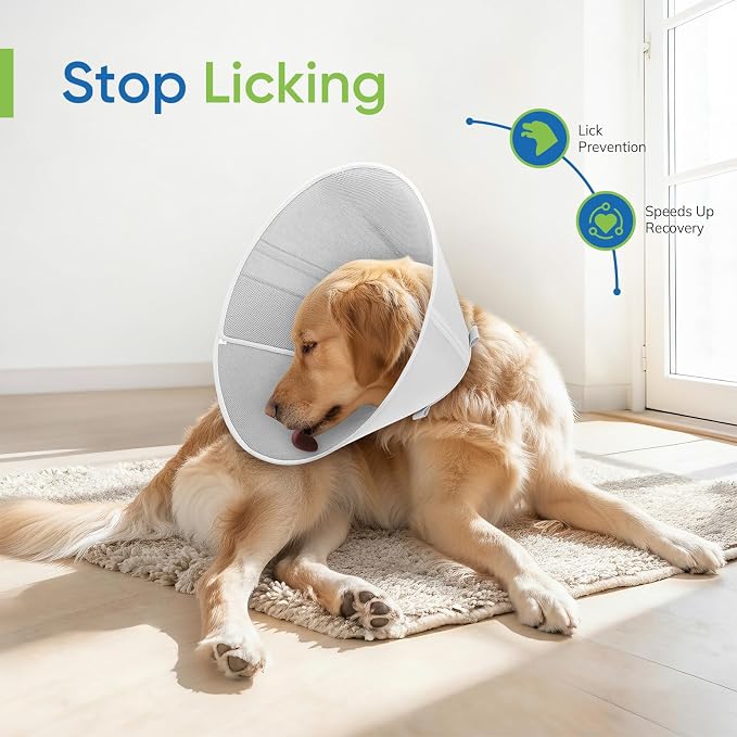 Soft Dog Cone Collar to Stop Licking After Surgery, Mesh Breathable Pet Recovery Collar for Large Medium Dogs, Elizabethan Cone Alternative(M)