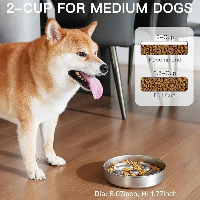 Lick Mat + Slow Feeder Set