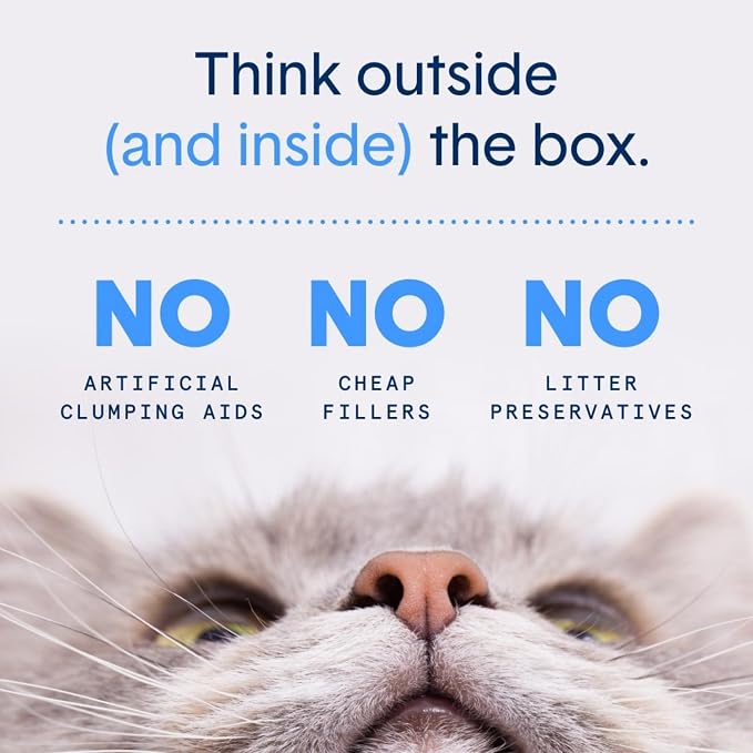 Boxie® Probiotic 40 Day Natural Odor Control Cat Litter, 16lb Clumping Clay Kitty Litter (Pack of 2)