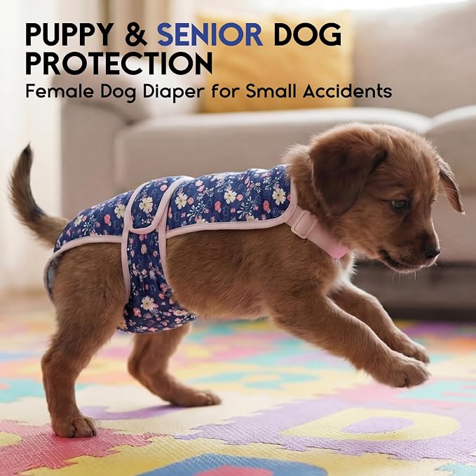 ASENKU 2 Pack Female Dog Diapers with Suspenders, Reusable Washable Puppy Panties for Small Dogs, Leak-Proof Pet Underwear for Heat Cycle & Period