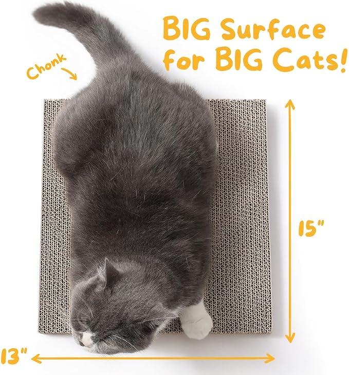 2X Hide & Scratch Cat Scratcher Boxes Plus 2 Scratch Pad Refills