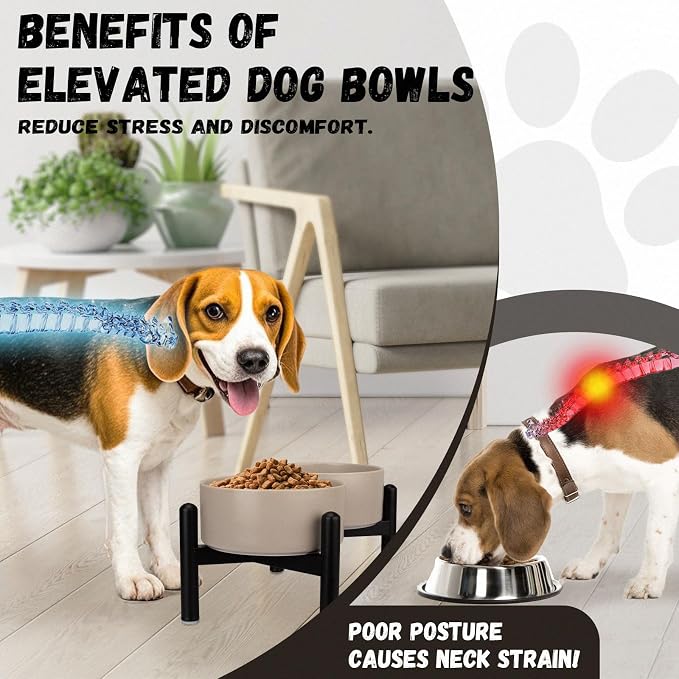 Raised Ceramic Dog Bowl Set - Elevated Double Dishes with Stainless Steel Stand - Food and Water Bowls for Small to Medium Dogs - Each Holds 3.5 Cups (29.57 fl oz) - Grey