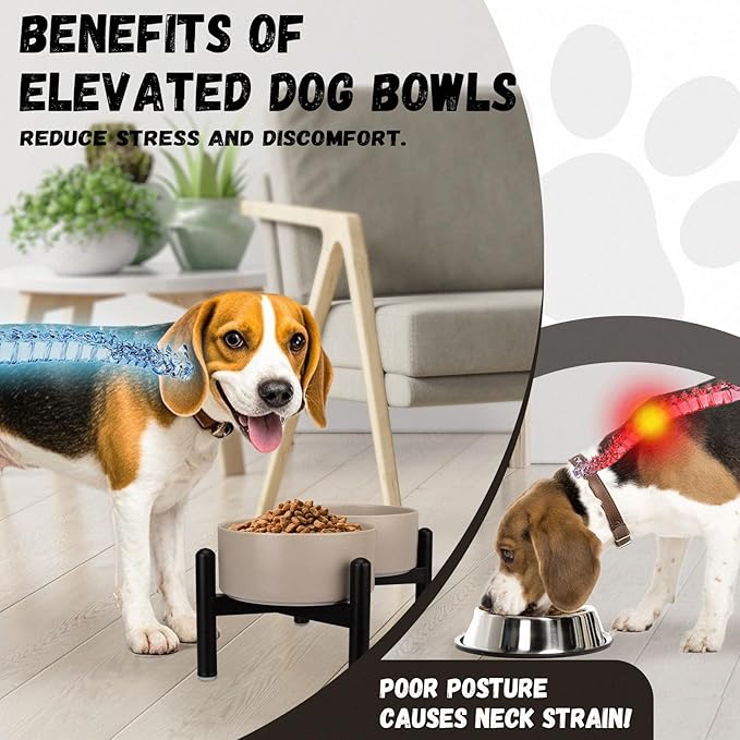 Raised Ceramic Dog Bowl Set - Elevated Double Dishes with Stainless Steel Stand - Food and Water Bowls for Small to Medium Dogs - Each Holds 3.5 Cups (29.57 fl oz) - Black