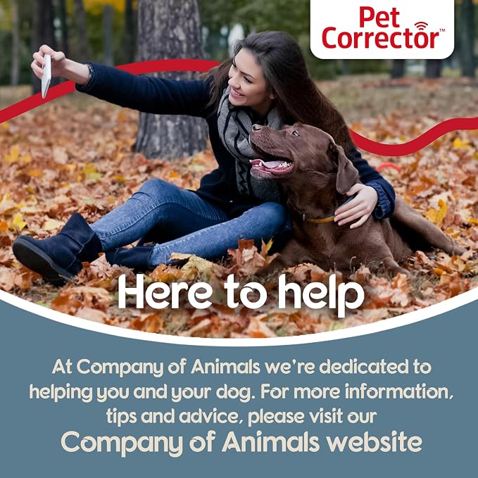 PET CORRECTOR Dog Trainer, 200ml. 2 Pack- Stops Barking, Jumping Up, Place Avoidance, Food Stealing, Dog Fights & Attacks. Help stop unwanted dog behaviour. Easy to use, safe, humane and effective.