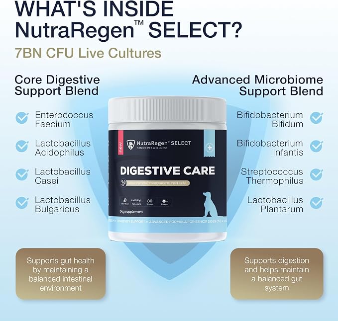 NutraRegen Dog Digestive and Immune Support Bundle | Mushroom & Probiotic Powder Supplements to Support Daily Wellness, Comfort, and Gut Balance, 7 Bn CFU | 60 Scoops, 4.0 oz