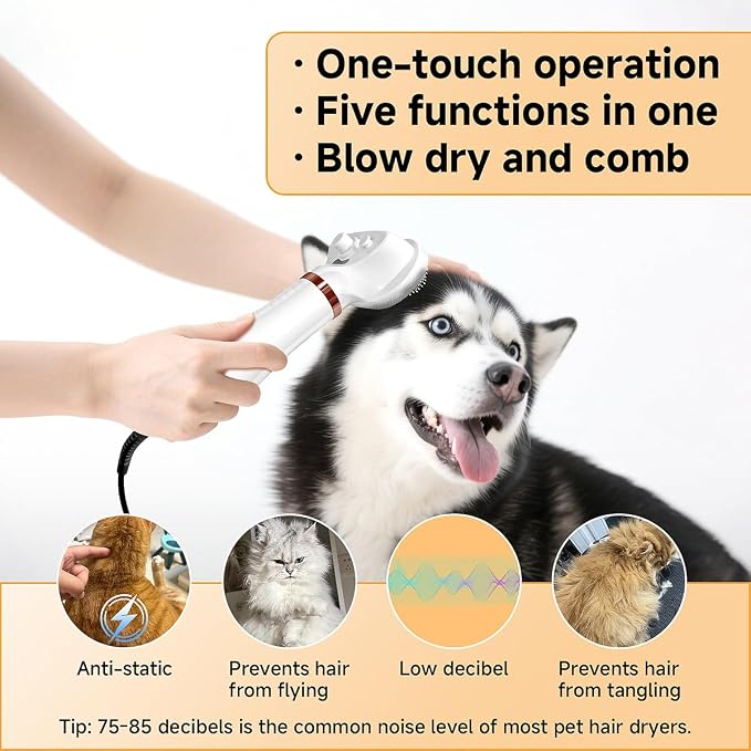 5 In 1 Steam Cat Dog Brush For Shedding With 600W Pet Dryer Convertible Pet Spray Hair Removal Comb With USB C Cable - Ideal For Outdoor And Indoor(Gold)