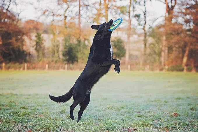 Chuckit! 2 Pack of Max Glow Zipflight Dog Toys, Medium 8.5-Inch2