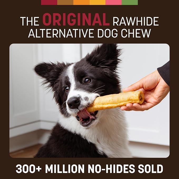 Earth Animal No Hide Chews - Long Lasting Rawhide Free Medium Dog Chews Rolls, Beef - 3 Count Value Pack