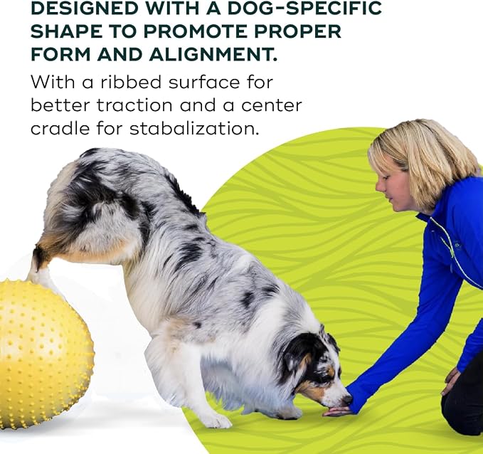 FitPAWS Traxpeanut Dog Training Accessory 40 cm