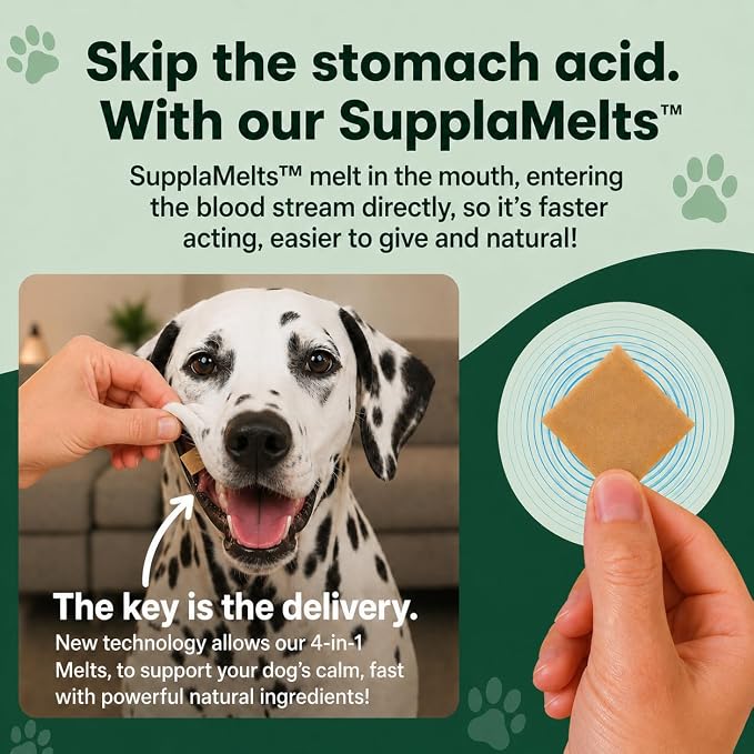 Calming Strips for Dogs – Fast-Acting Anxiety Relief & Sleep Support with Melatonin and Chamomile - Dog Calming Chews Alternative, Helps Reduce Stress During Fireworks & Travel (30 Pack)