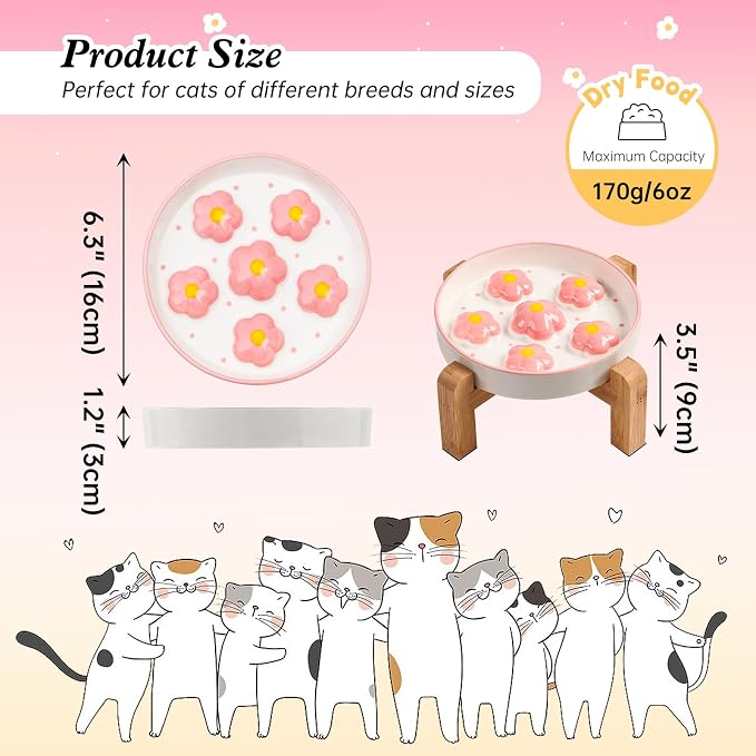 Slow Feeder Cat Bowl Set - Ceramic Raised Bowl with Bamboo Stand and Melamine Food Dish - Elevated, Anti-Vomiting, Interactive Maze