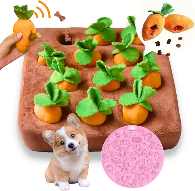 CECE PAW Carrot Treat Puzzle + Lick Mat + Catnip
