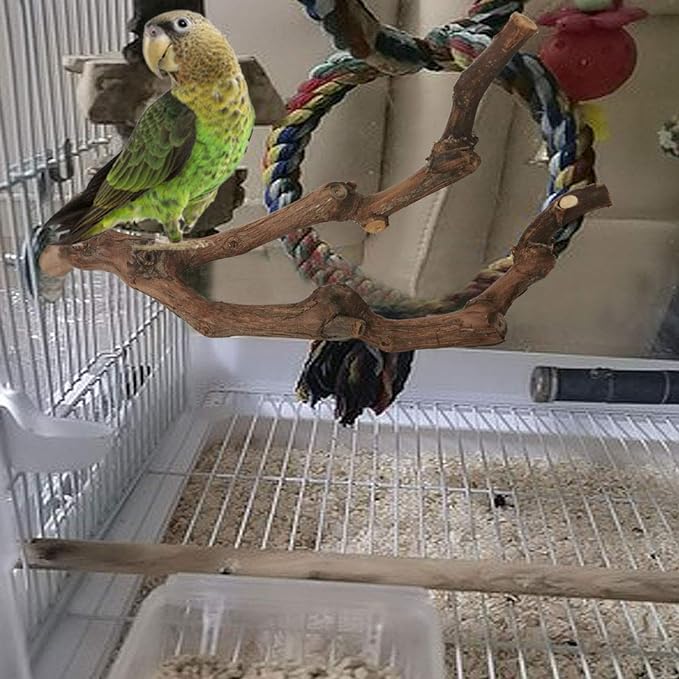 kathson Natural Parrot Perch for Cage Wooden Bird Perches Grape Bird Stick Parakeet Climbing Standing Branches Toy Chewable Cage Accessories for Small Budgies Cockatiels Lovebirds Budgies