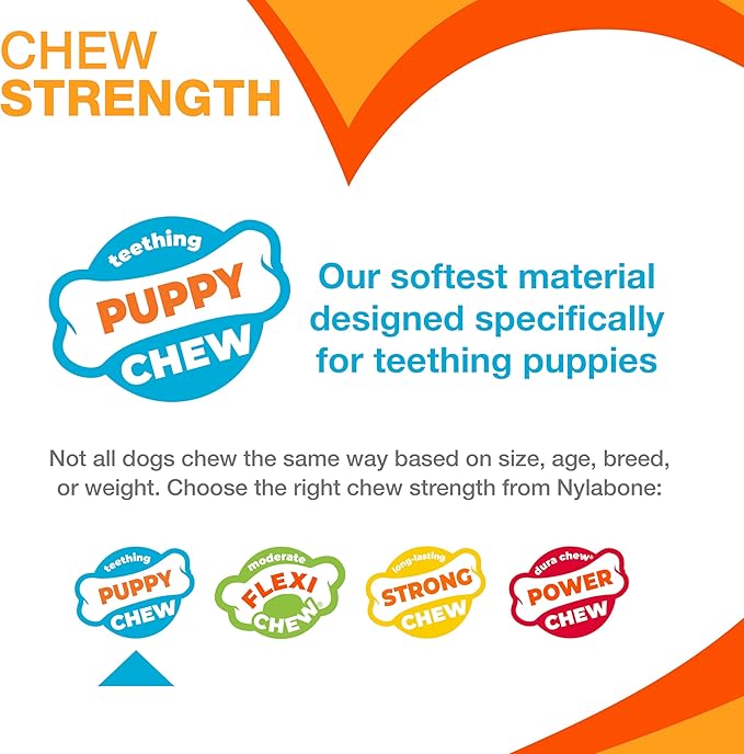 Nylabone Teething Rings Puppy Power Chew Toy for Puppies, Soothing Puppy Teething Bone, Enrichment Toy for Puppies, Bacon Flavor, Small Dogs - Up to 25 Ibs, 1 Count