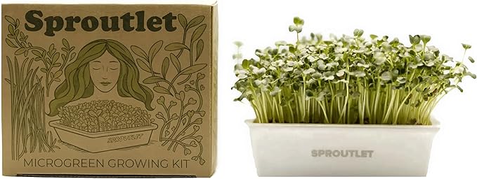 Sproutlet Self-Watering Microgreens Growing Kit – Easy Indoor Garden for Fresh Microgreens in Days – Reusable Trays, Organic Seeds & Grow Mats – No Soil, No Mess (Pearl, 1-Pack)