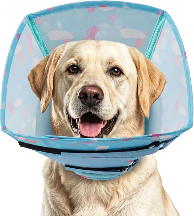 Small Dog Cone Collar, Dog Elizabethan Collar for Dogs with Durable Material, for Surgery Recovery to Allow Comfortable Sleep for Small Breeds,S