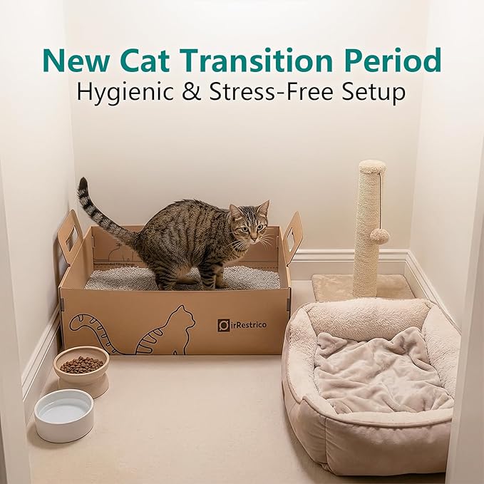 3-Pack Large Disposable Cat Litter Box, Recyclable Cardboard, Waterproof & Leak-Resistant, Portable for Travel, Temporary and Home Use