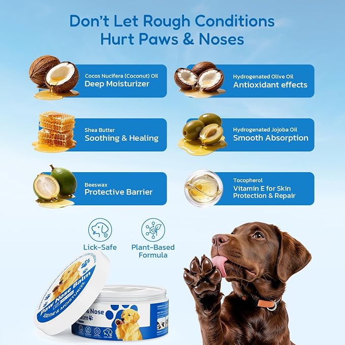 Lick Safe Dog Paw & Nose Balm - All Natural Moisturizing Wax with Coconut Oil & Shea Butter, Soothes Dry Cracked Paws & Snout, Heat & Cold Pavement Protection, 8.82 Oz Nose Butter