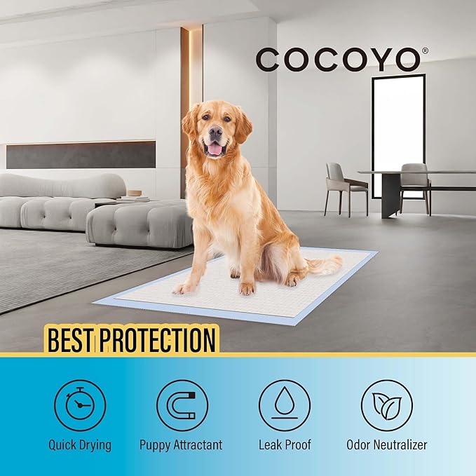 COCOYO Dog Training Pads Large Size丨Eliminating Urine Odor Puppy Pads 丨 Premium Dog Pee Pads Value Pack (75 Count, L 26x30 inch)