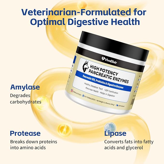 Pancreatic Enzymes for Dogs – 10X Pancreatin Digestive Enzyme Powder – Dog EPI Supplement for Pancreas Support – Helps Restore Weight, Improve Digestion & Relieve GI Stress – 11.99 oz – Vet Formulated