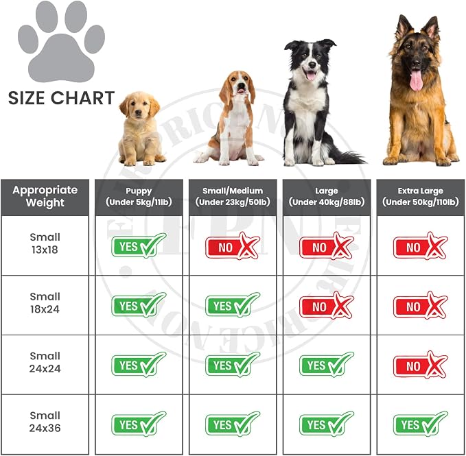 Kashmir FPN Puppy Pads for Dogs 200 Count 18x24 Inch Heavy Duty Training Pads | 5 Layer Instant Absorbent Dog Pee Pads for Puppy Training, Pet Care & Indoor Potty Protection